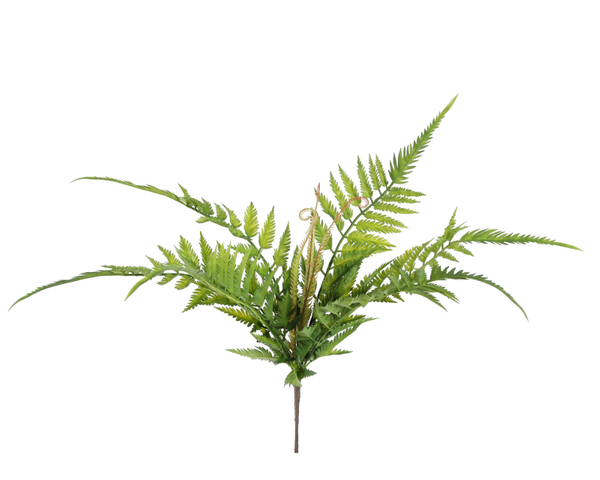 Feto de Cair