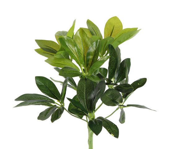 Tufo Verde