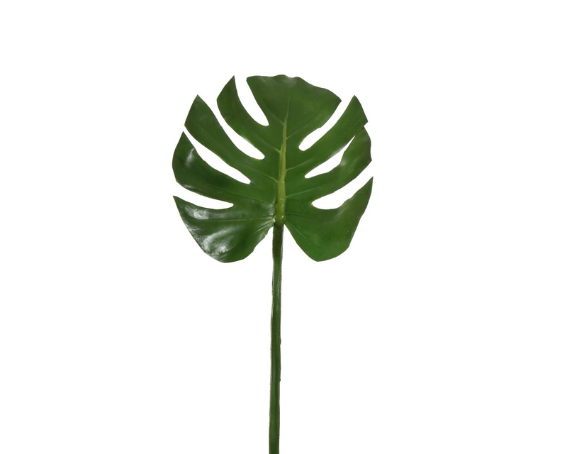 Folha Monstera Peq - Folhas e Palmas | Angels & Co.