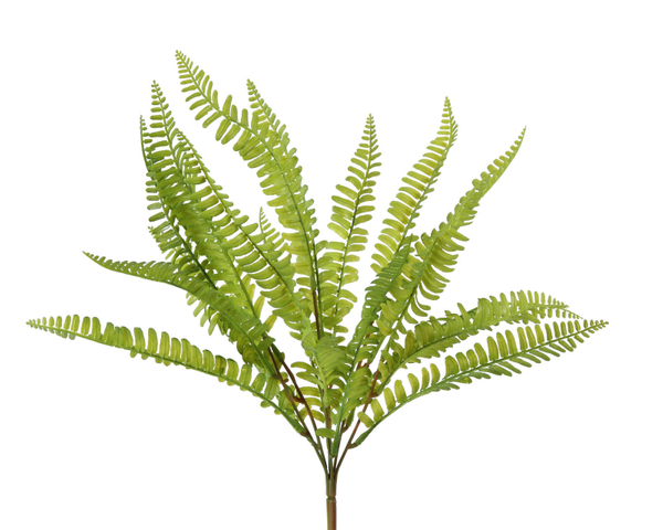Tufo Feto  Verde