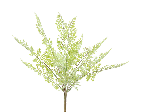 Tufo Avenca Verde