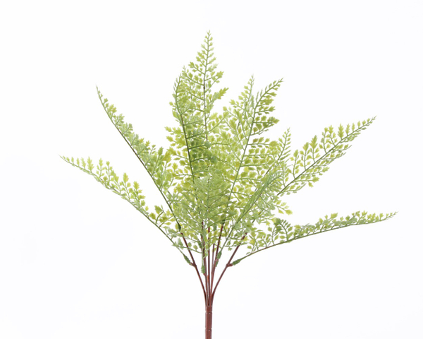 Tufo Avenca Verde