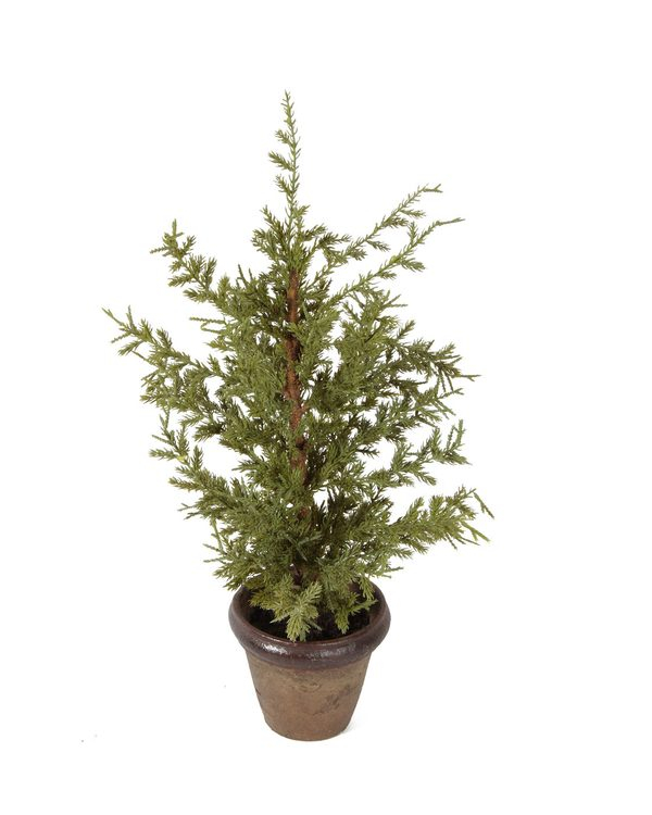 Vase with Pine