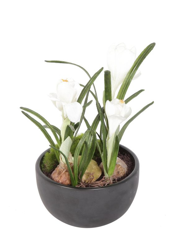 Crocus Vase