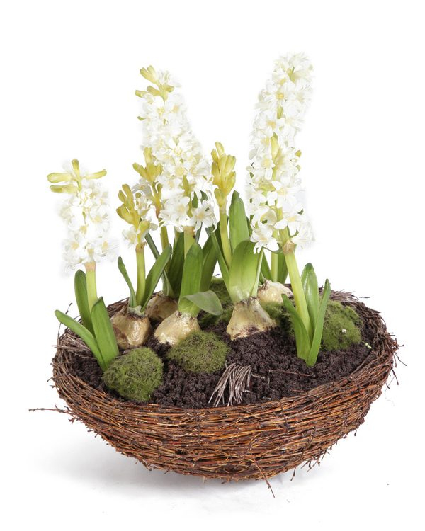 Cesta Twig com Jacintos