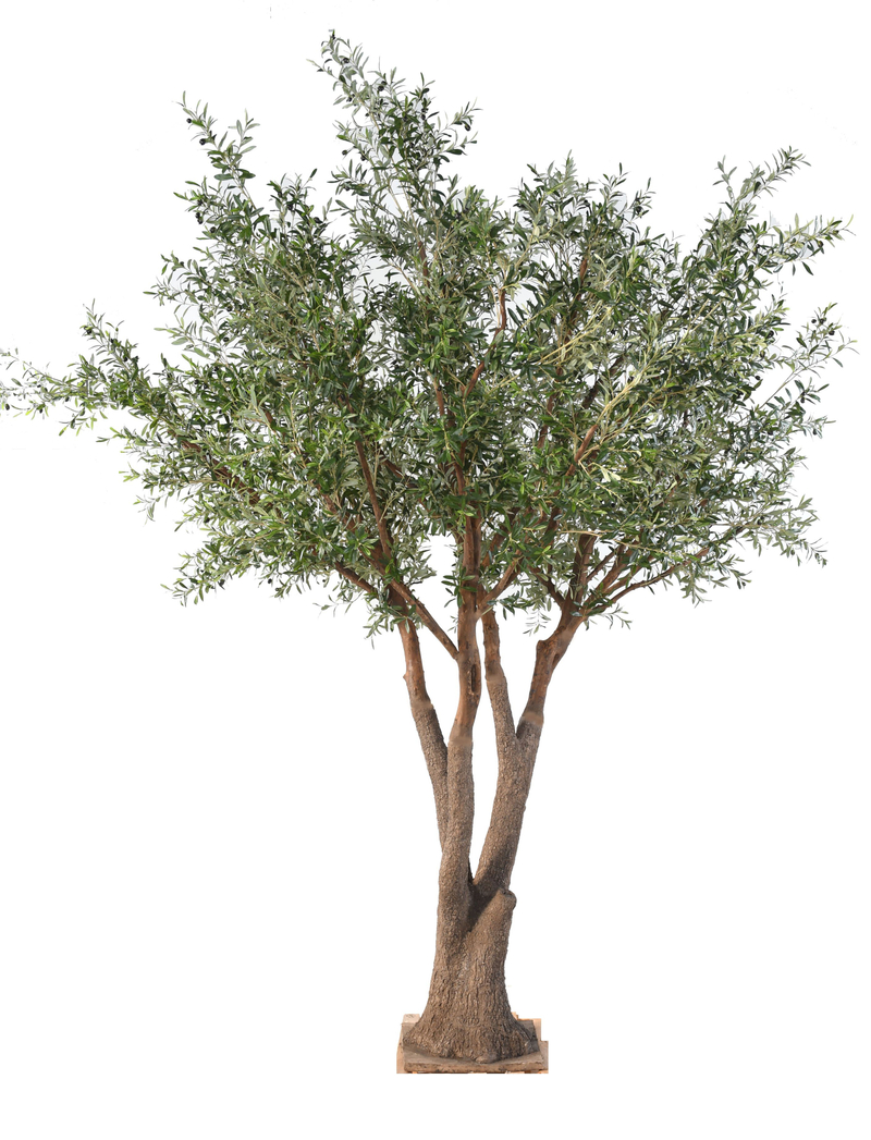 Olivo gigante artificial - Oliveiras | ingarden