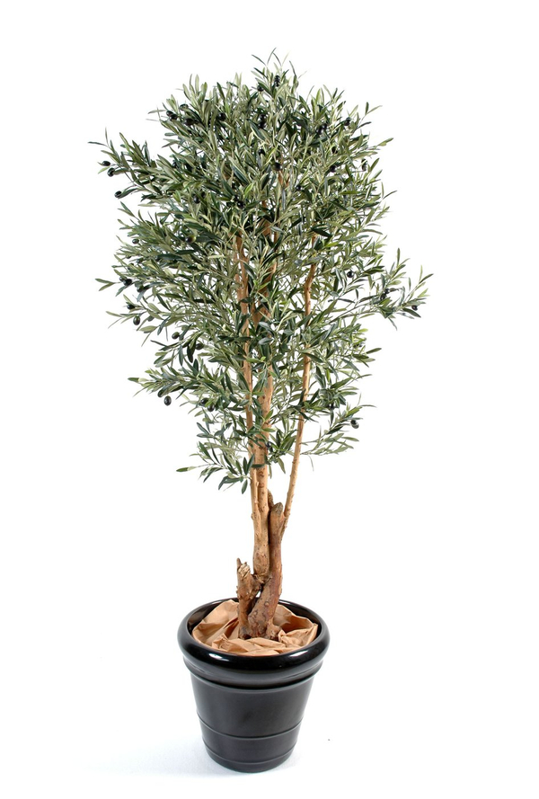 Planta olivo artificial Zelena