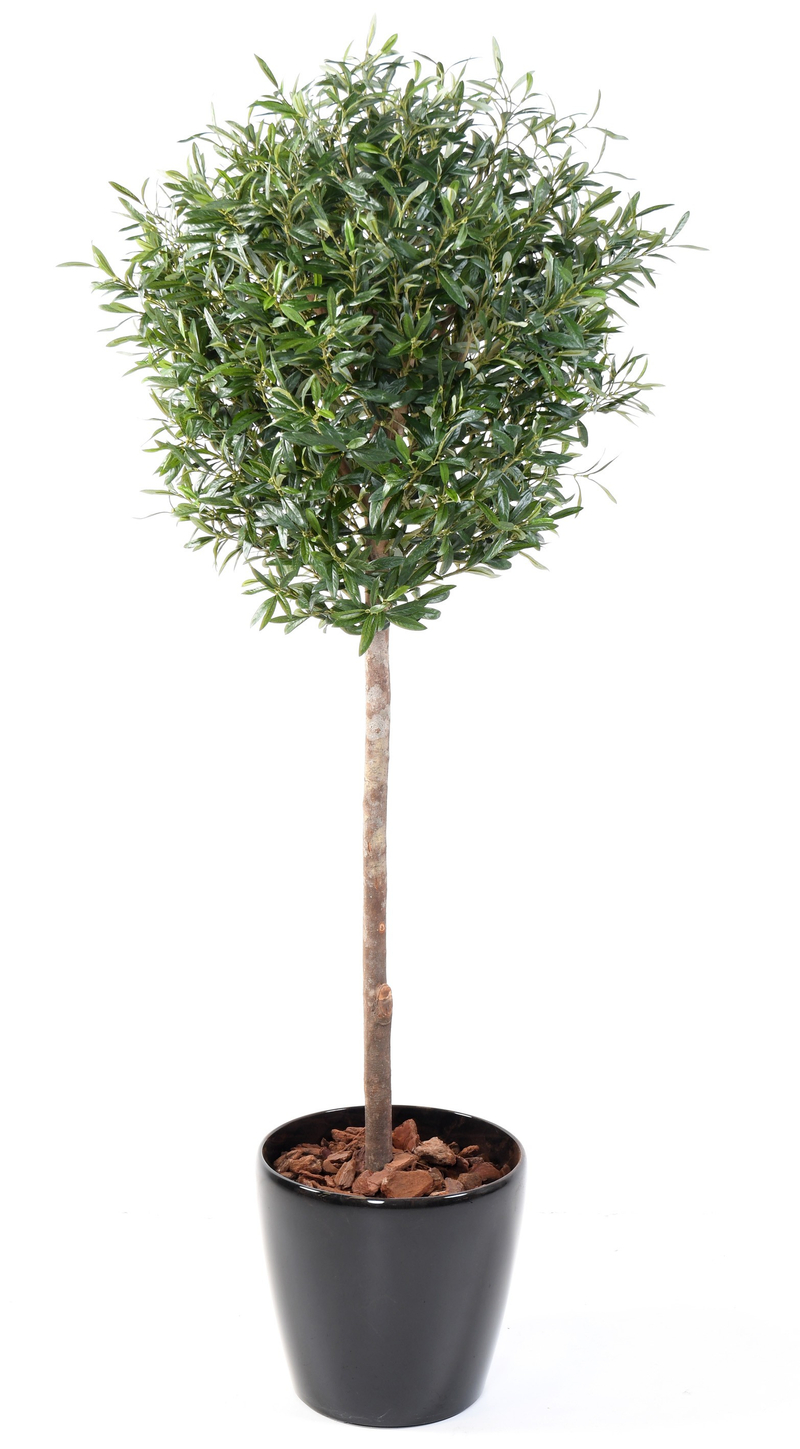 Planta olivo artificial con macetero 156cm – Luz Garden