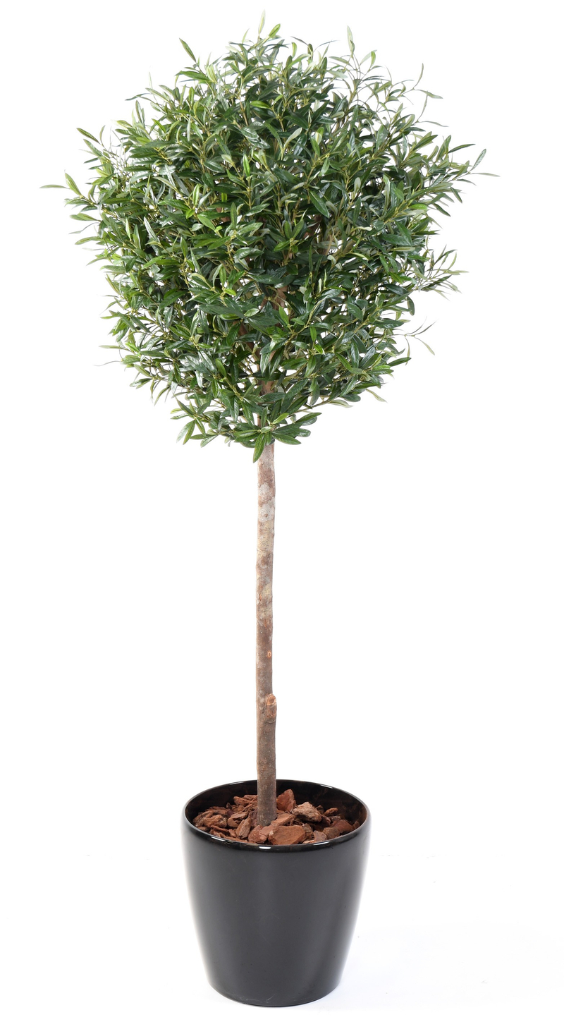 Olivo artificial de 240cm, Floristería IVARS