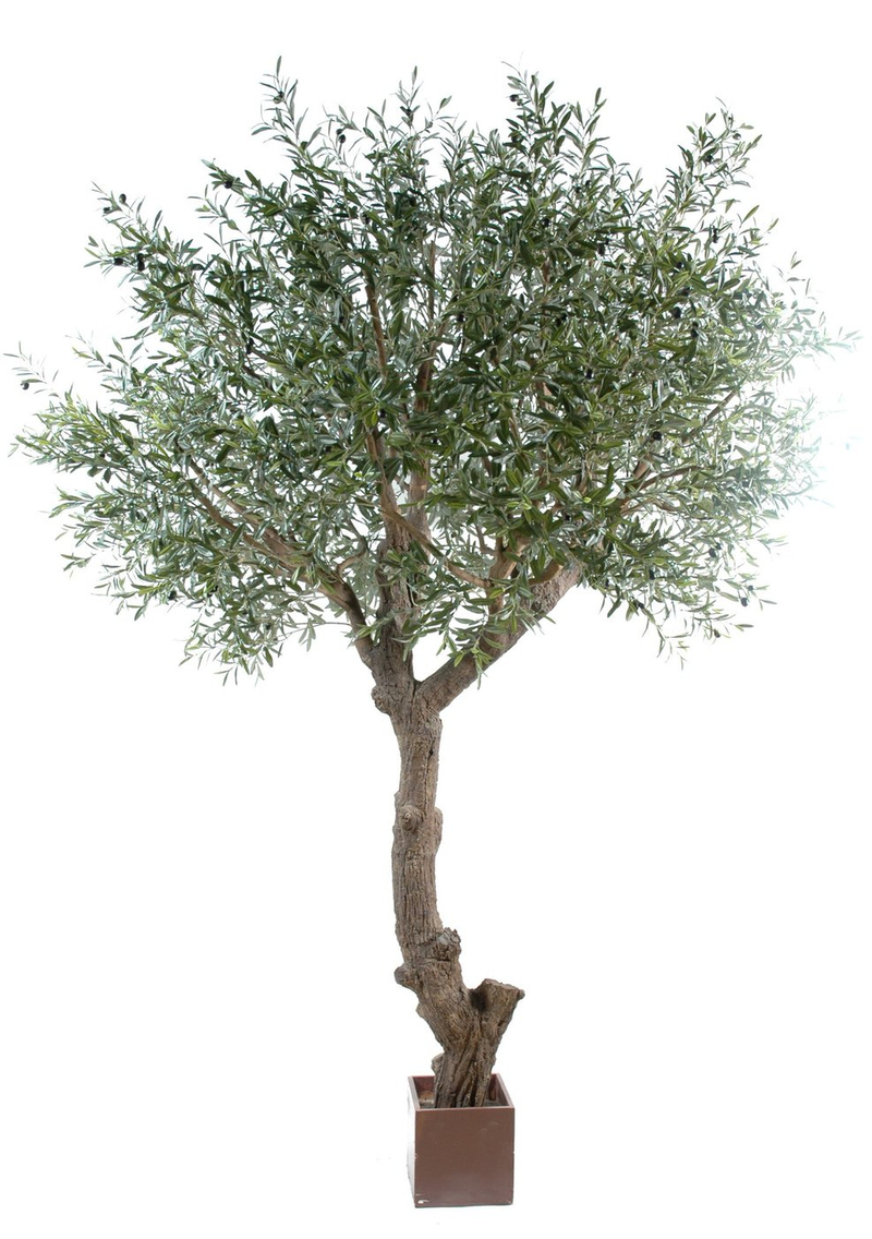 Olivo árbol artificial - Oliveiras | ingarden