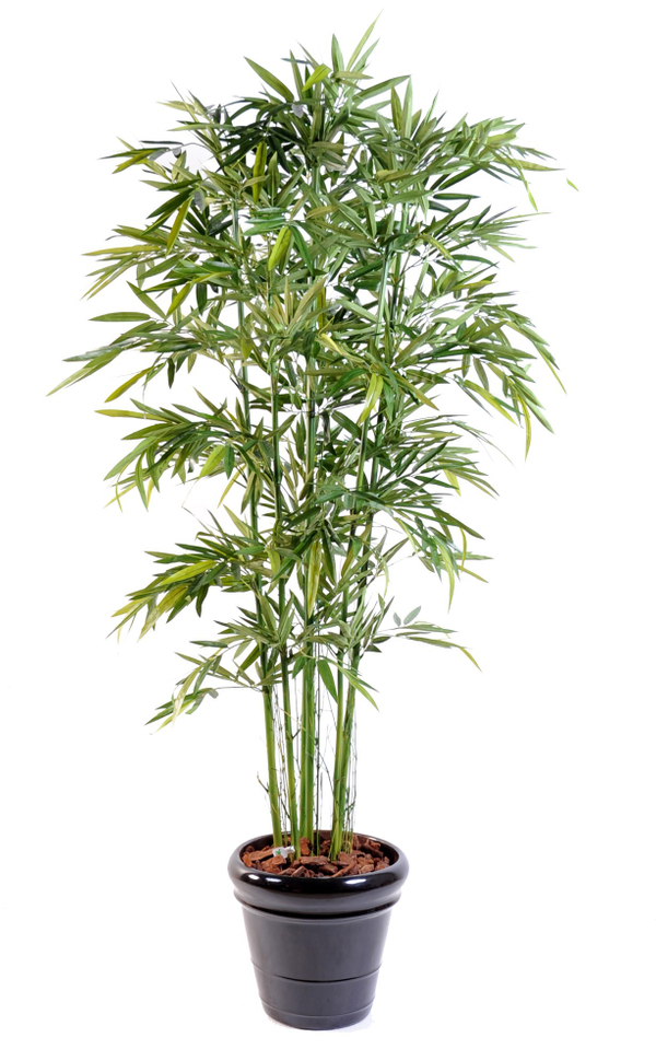 Bamboo green artificial plant Bambus ingarden