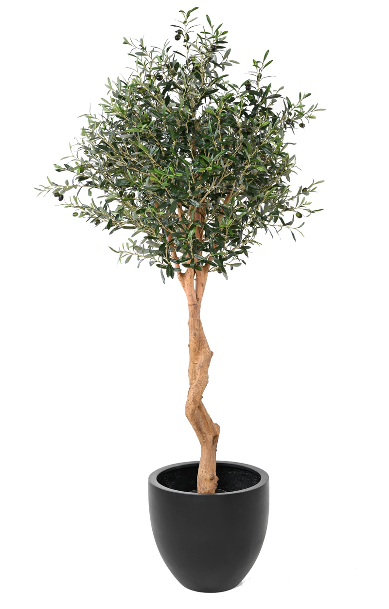 Olivo artificial 180 cm - NU PUUR & GROEN B.V.