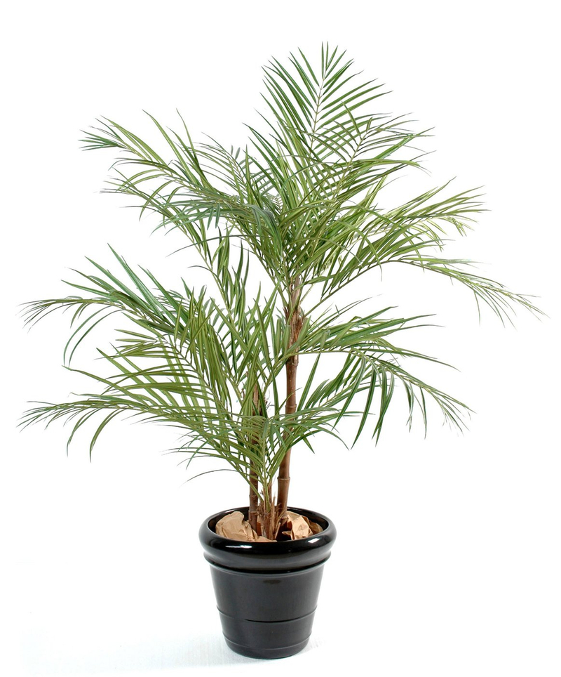 Palmera artificial Areca grande — jardineriadelvalles