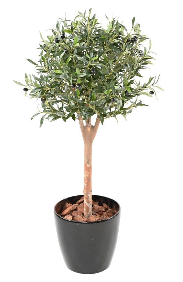 Oliveiras Árvores e Arbustos Artificiais ingarden