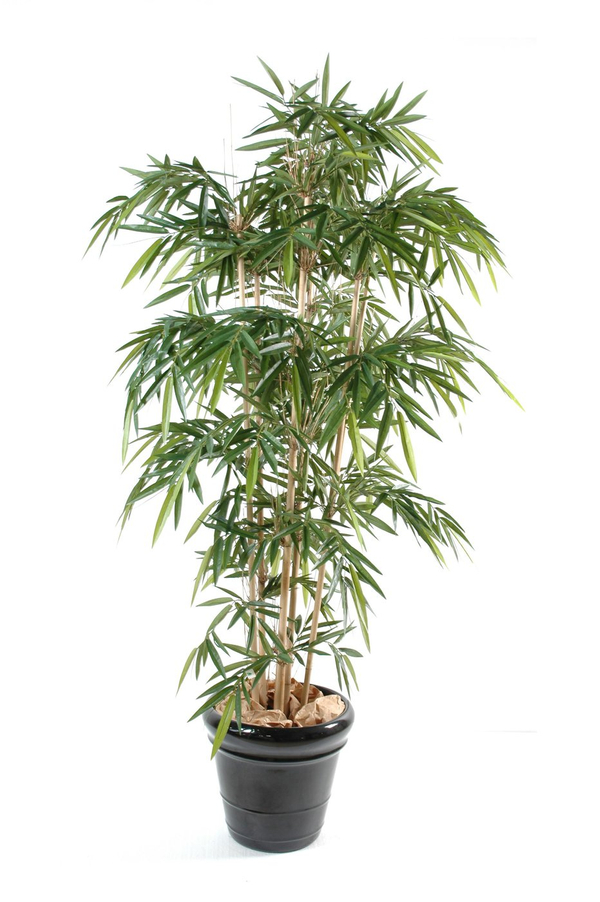 Celosía extensible plantas artificiales UV - Árvores e Arbustos UV