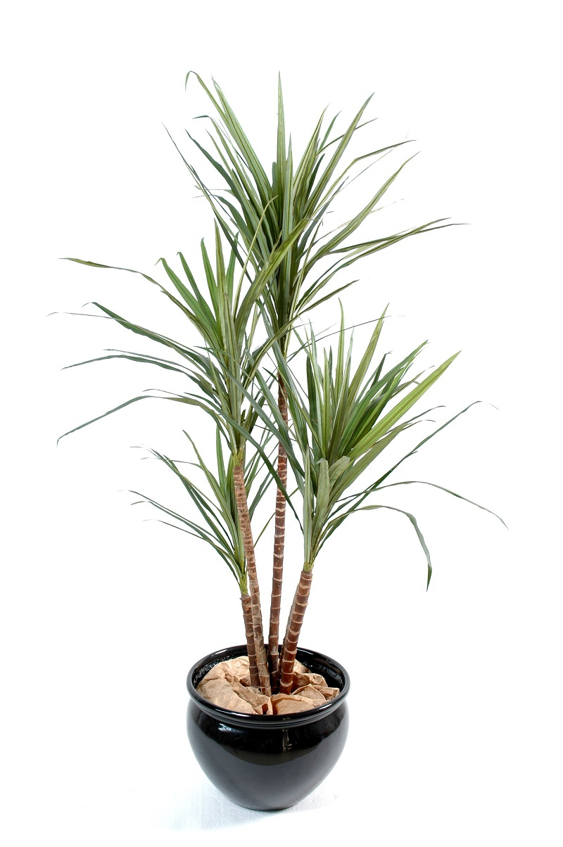 Planta artificial de dracaena reflexa en maceta 120CM - Aliss