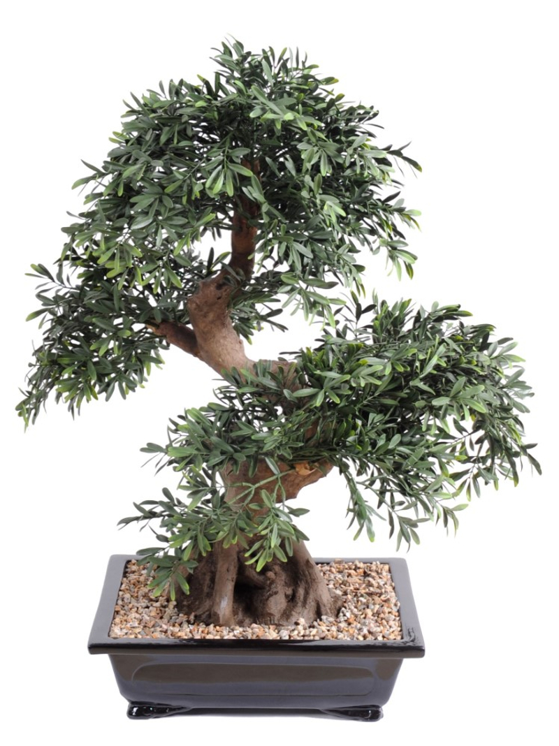 Bonsai artificial Black - Bonsais