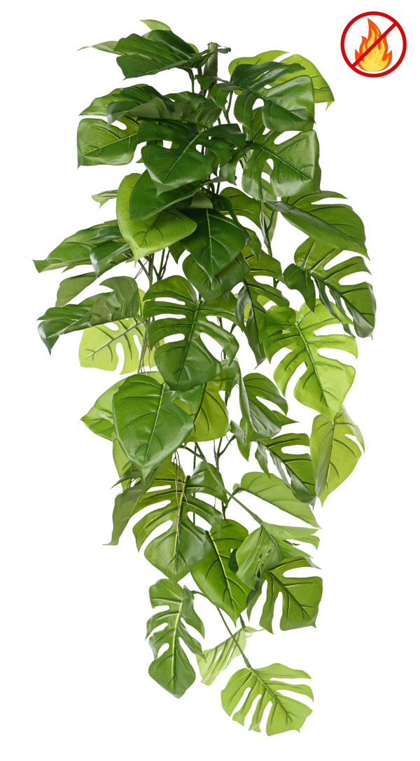 PHILO BUSH FR 120 CM