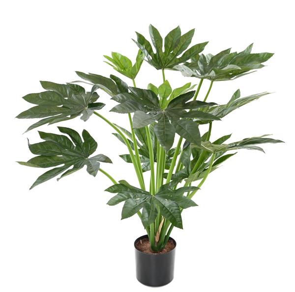 Fatsia Japonica Artificial
