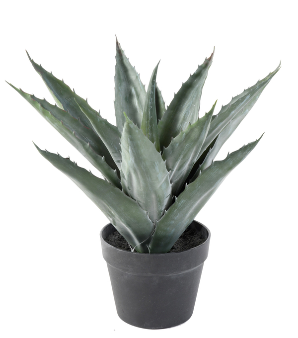 Agave Artificial Mini