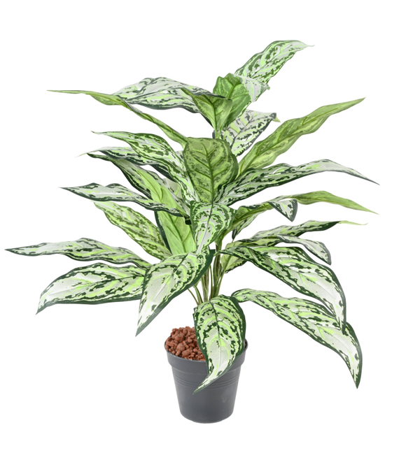Aglaonema artificial