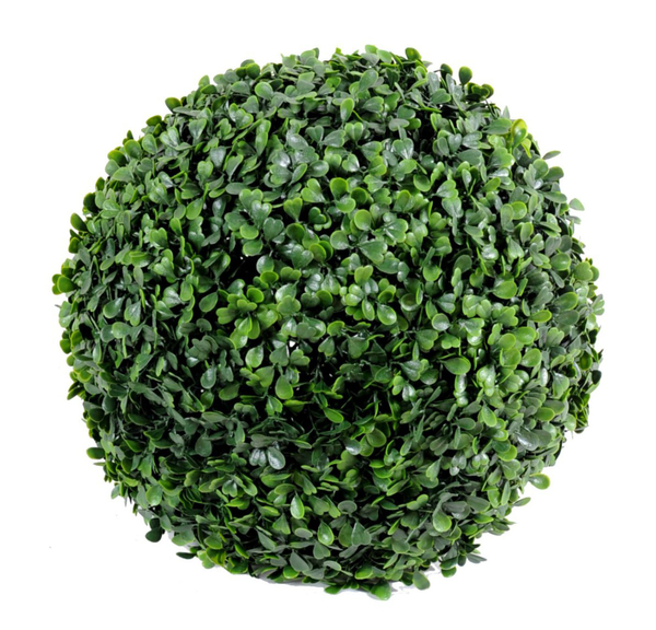 Boj Común Bola Topyaris ingarden