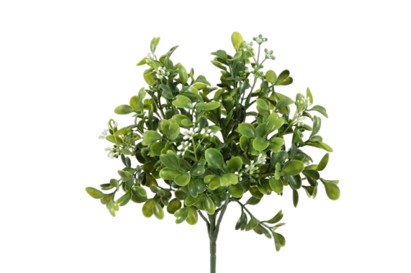 Tufo Bucho  Verde PE Protecção UV