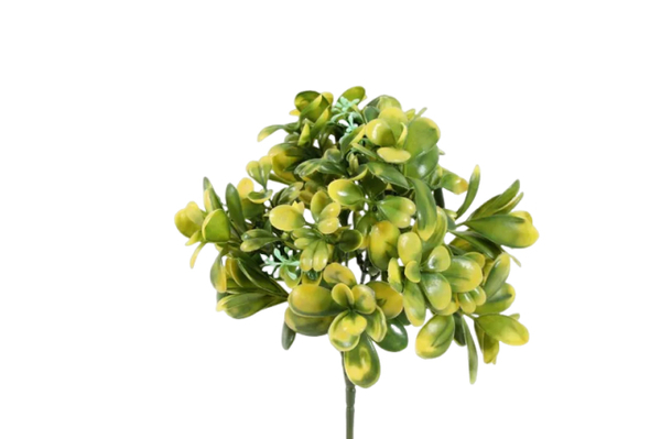 Tufo Bucho  Verde PE Protecção UV
