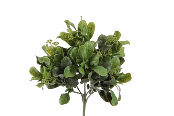 Tufo Aglaia Verde PE Protecção UV