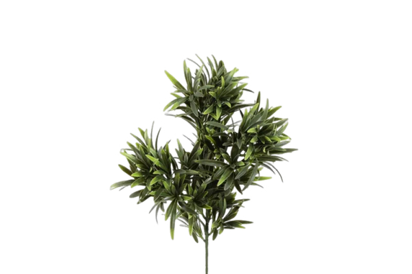 Tufo Podocarpus  Verde PE Protecção UV