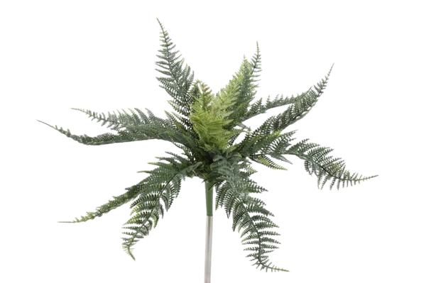 Tufo Feto Grande Verde PE Protecção UV