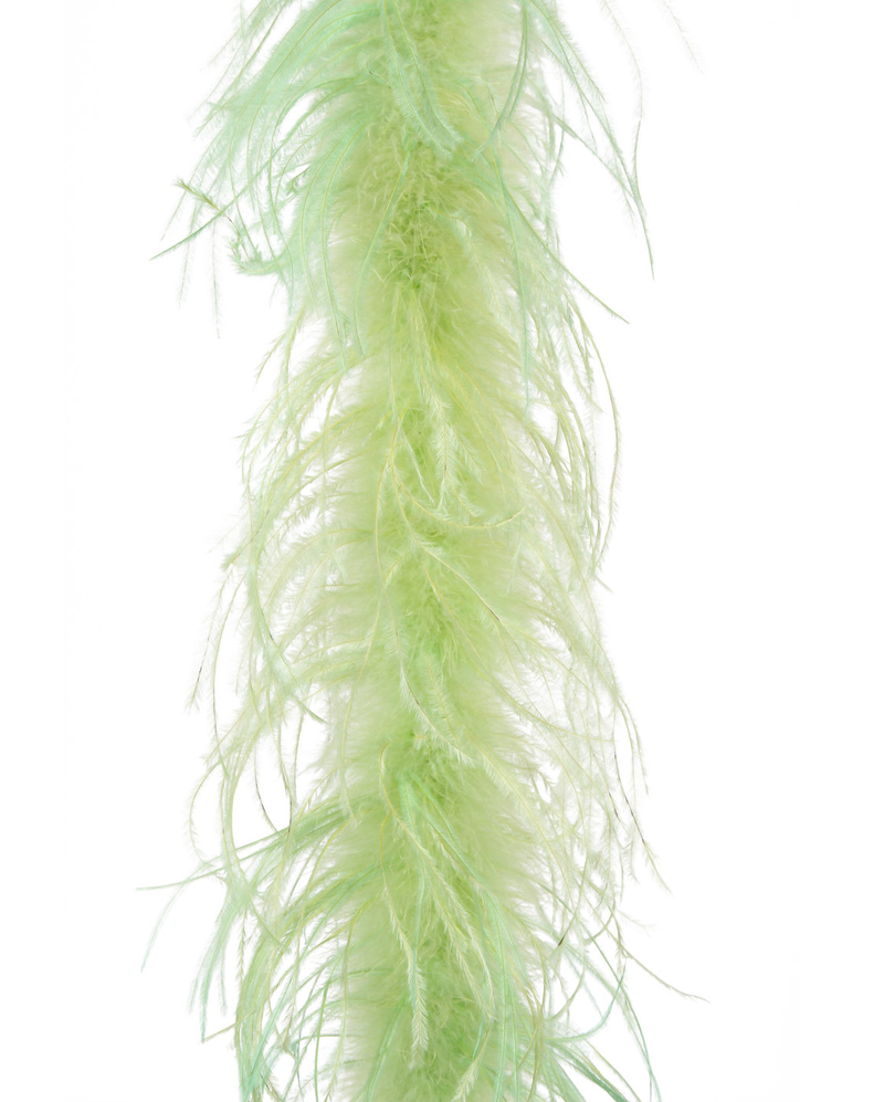 Cr165901.55