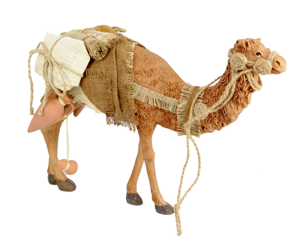 Camel Sitting
