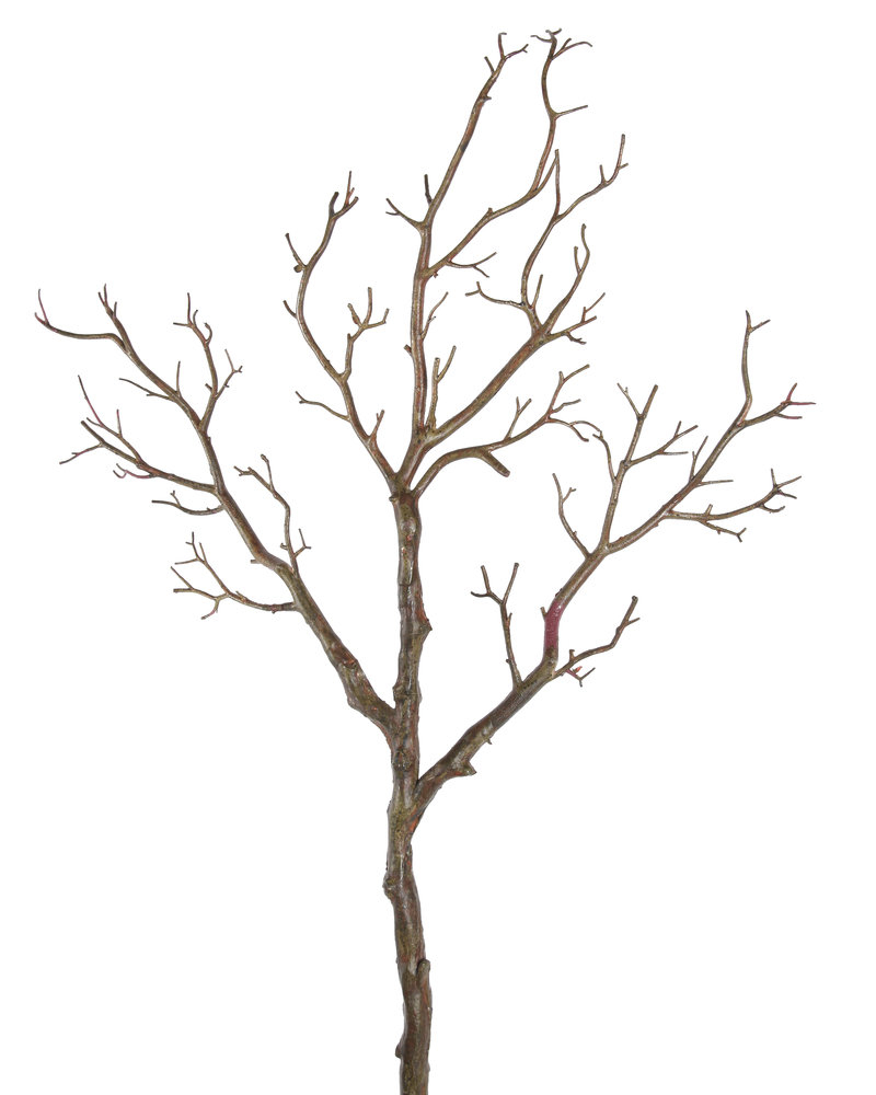 Tree Branch Hastes Ingarden