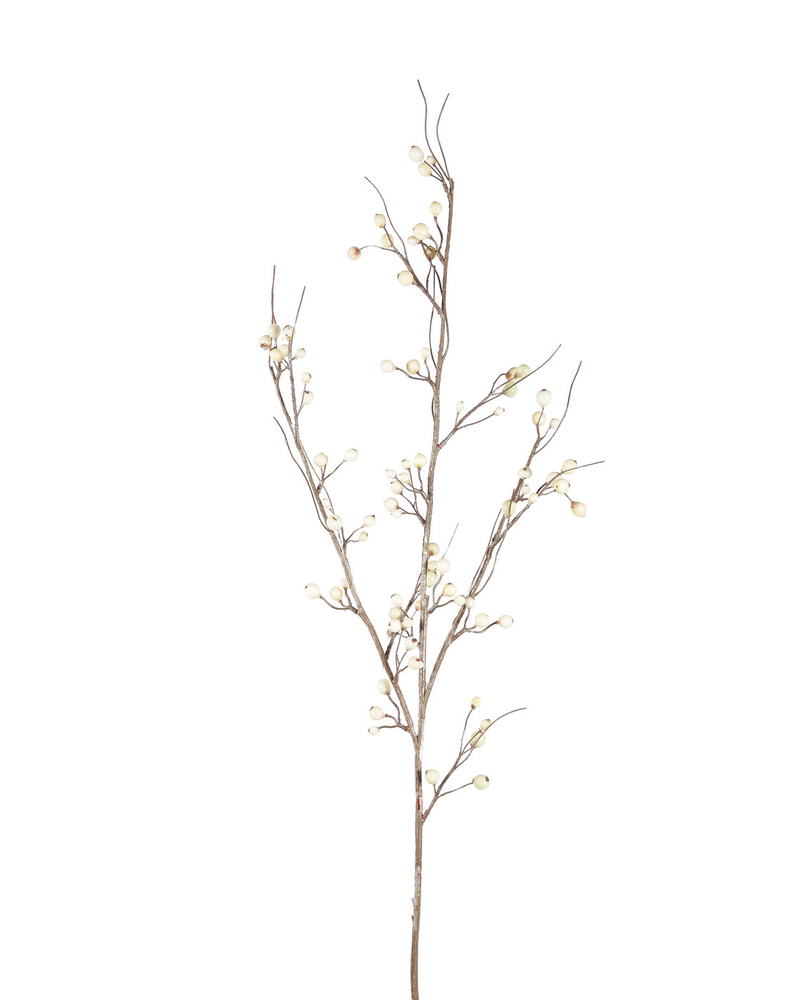 Cr96021